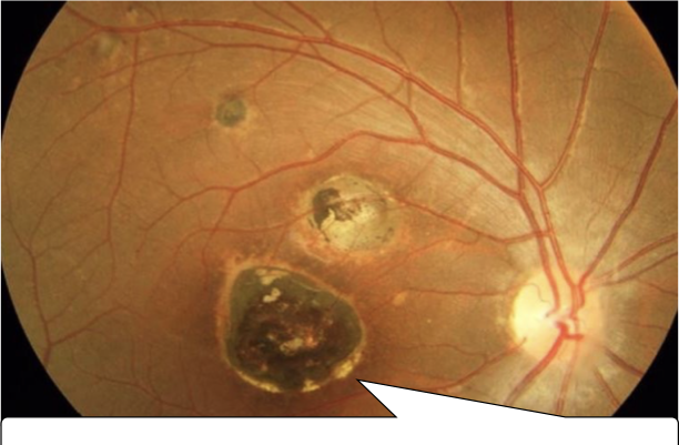 Vasco Martins Lobo tweet media