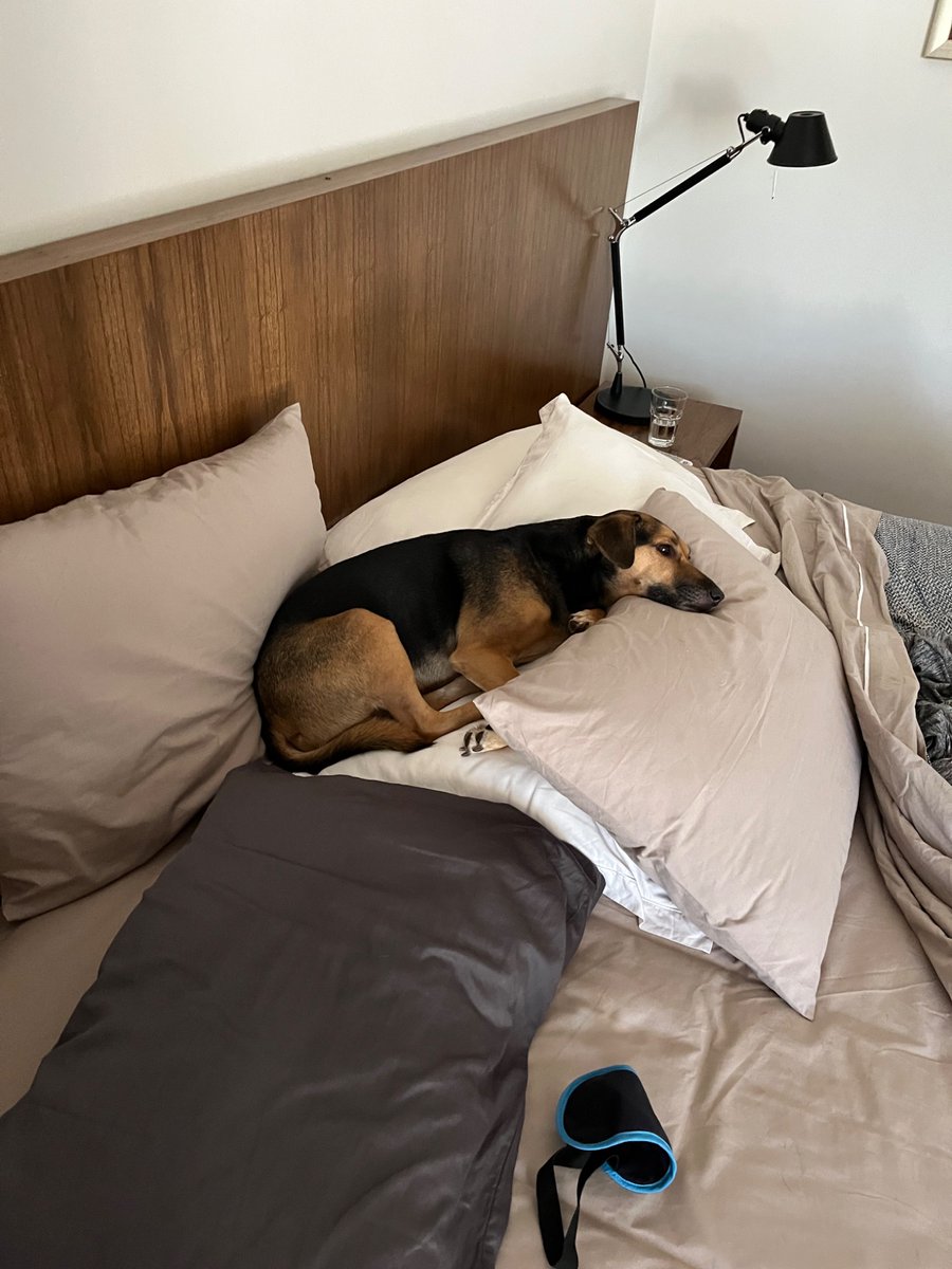 Paloma Strubing Gomez tweet media