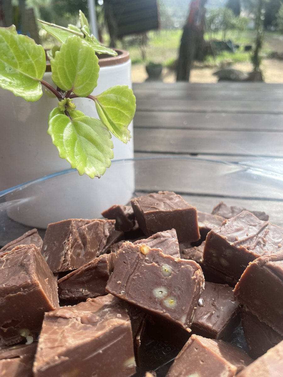 BudhaSmileCraft's tweet photo. Home made #Fudge, full of chocolate 🍫, butter 🧈, sugar and pine nuts , but the main ingredient is #Love
#RealFood
#HomeMadeFood
#LoveForCooking
#CreativeFlow https://t.co/FPW2ON9sYt