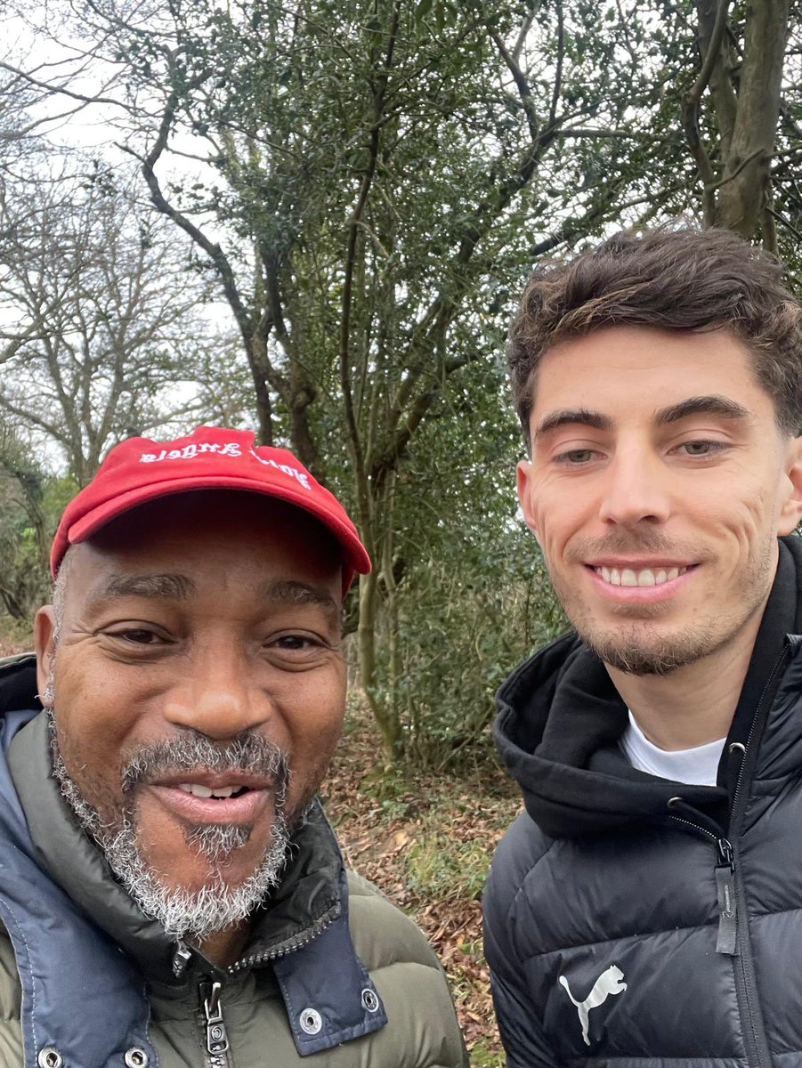 Az…. the Horses have come back for me tweet media