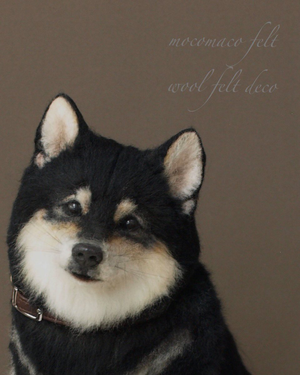 羊毛フェルトの黒柴です♪以前Instagramに投稿した黒柴を少し手直ししました✨😊#羊毛フェルト #羊毛 #柴犬 #犬 #いぬ #いぬのきもち #黒柴 #ハンドメイド #手作り
