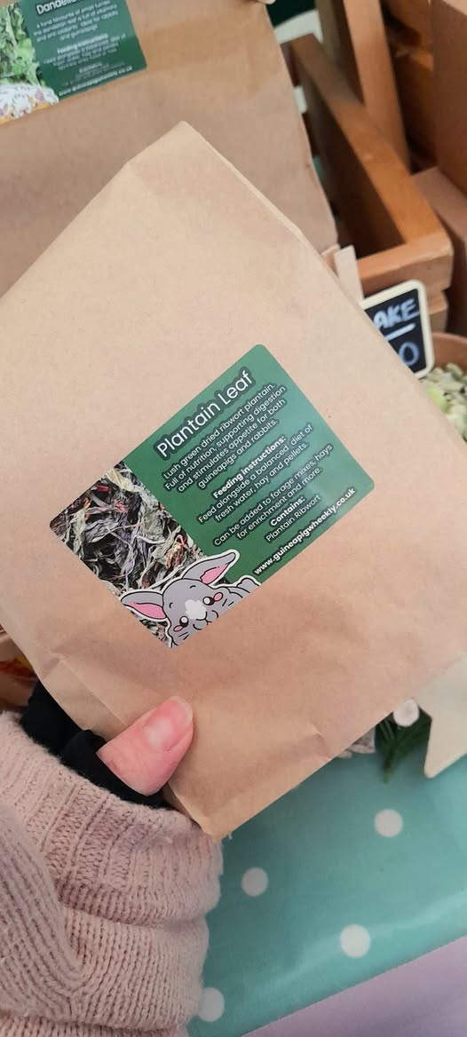 📷📷 Plantain in stock today at Leek sunday supplement. 📷📷
Online stock being added tomorow at guineapigwheekly.co.uk
