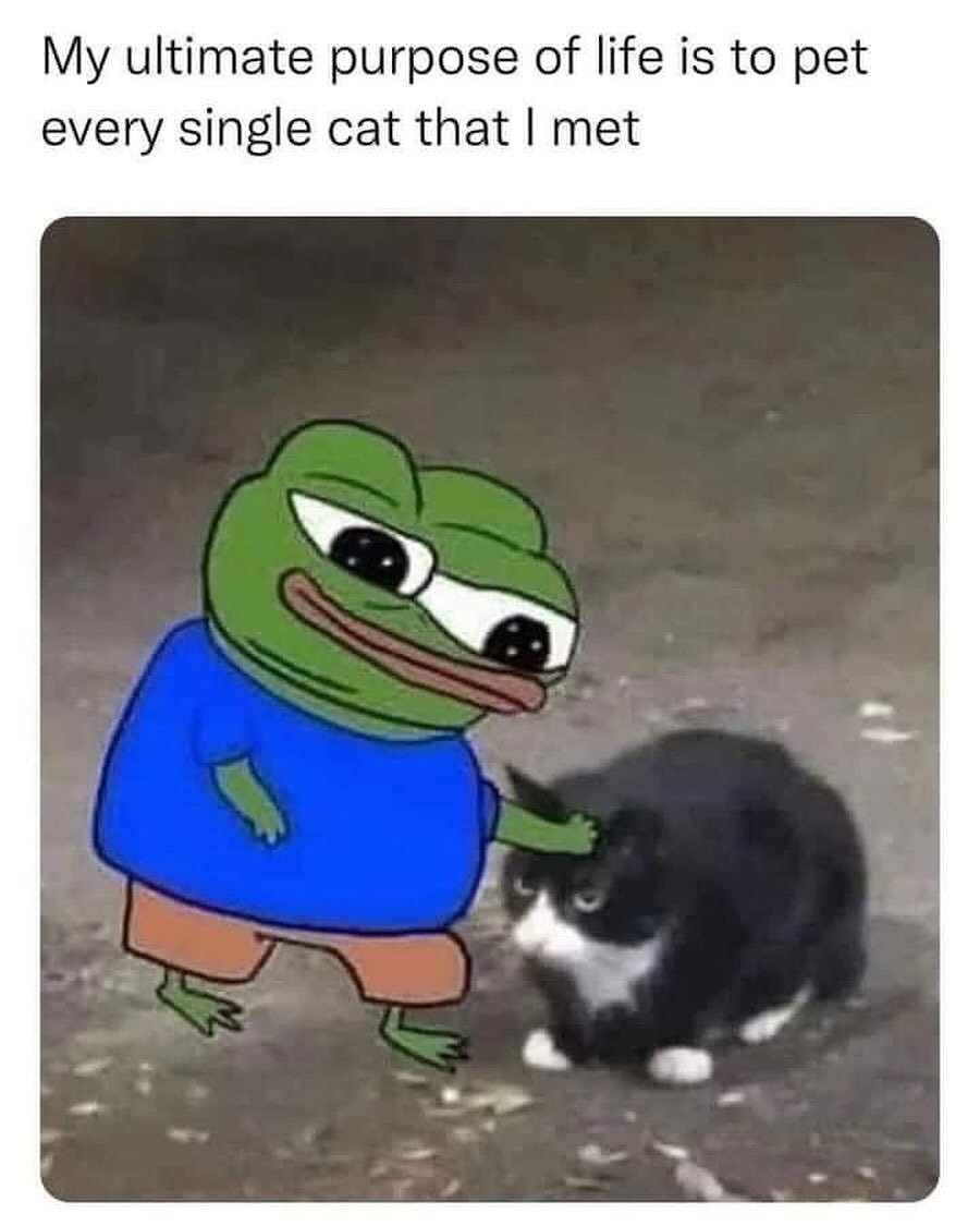 cats with powerful impression 🐾 tweet media