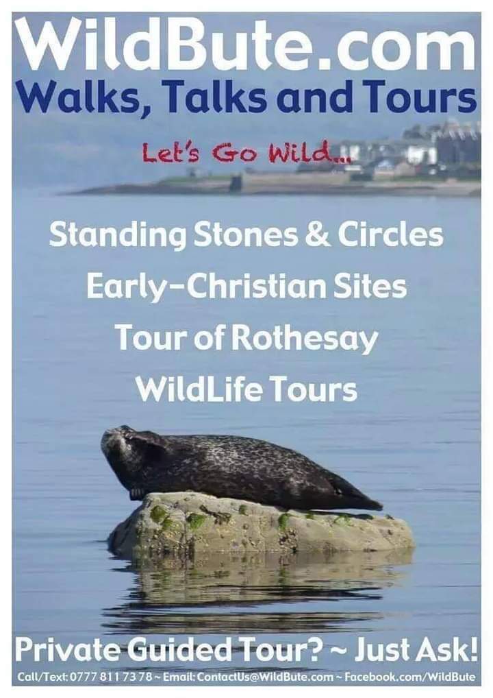 Wild Bute tweet media