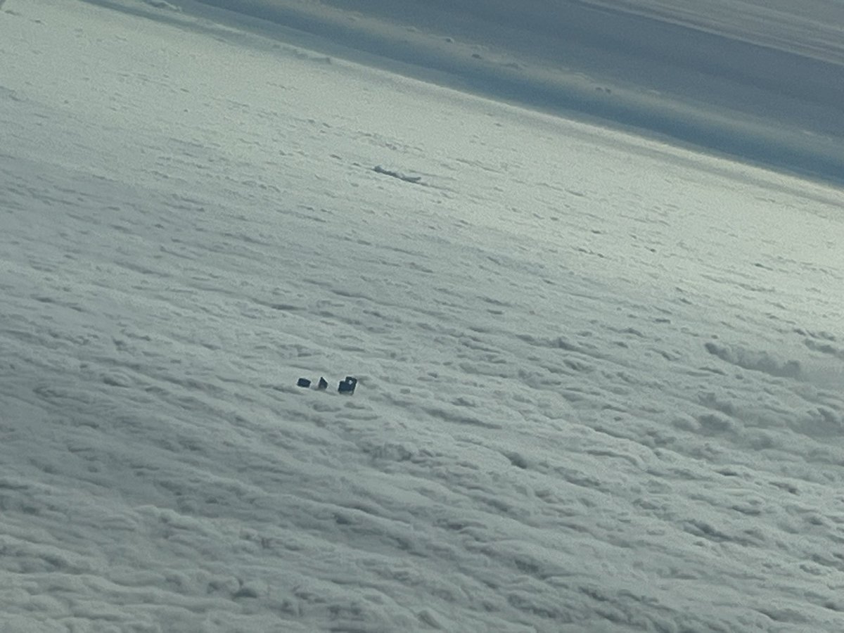 Gemma #IP tweet media