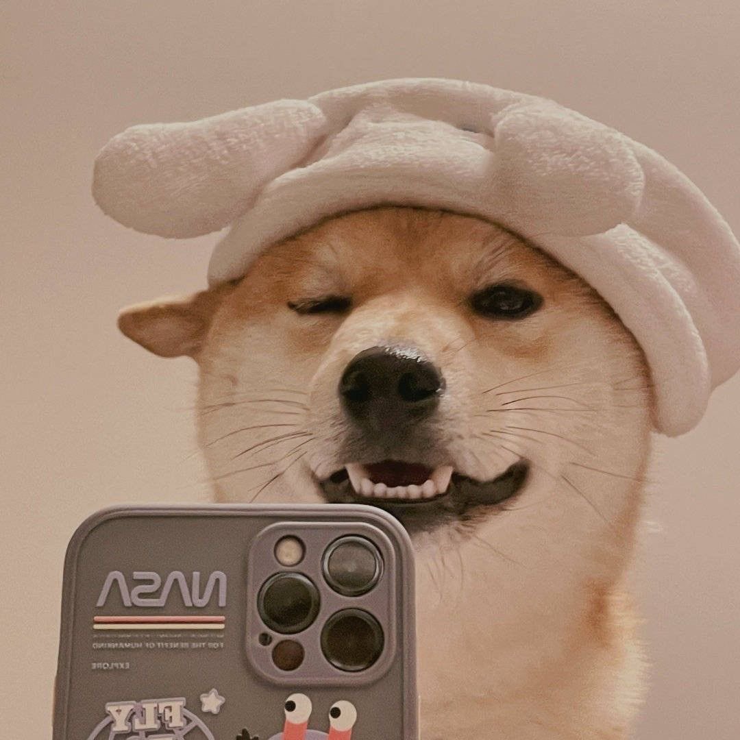 ChillDogsOnHBAR's tweet photo. 📣📣Chill Dogs is coming to @MemeJobFun Join Chill Dogs, the first dog on @hedera, on a trip to the moon🚀🚀
Telegram Chanel : https://t.co/2G318BnJk9
Telegram Chat : https://t.co/tB5D1cU5DA
#CHILLDOGS #memecoin1000x #HEDERA https://t.co/BxJvMzR23I