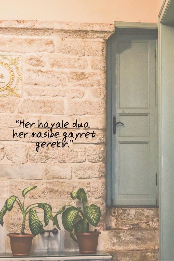 Acz_Mavera's tweet photo. https://t.co/ttDs6OPSTp