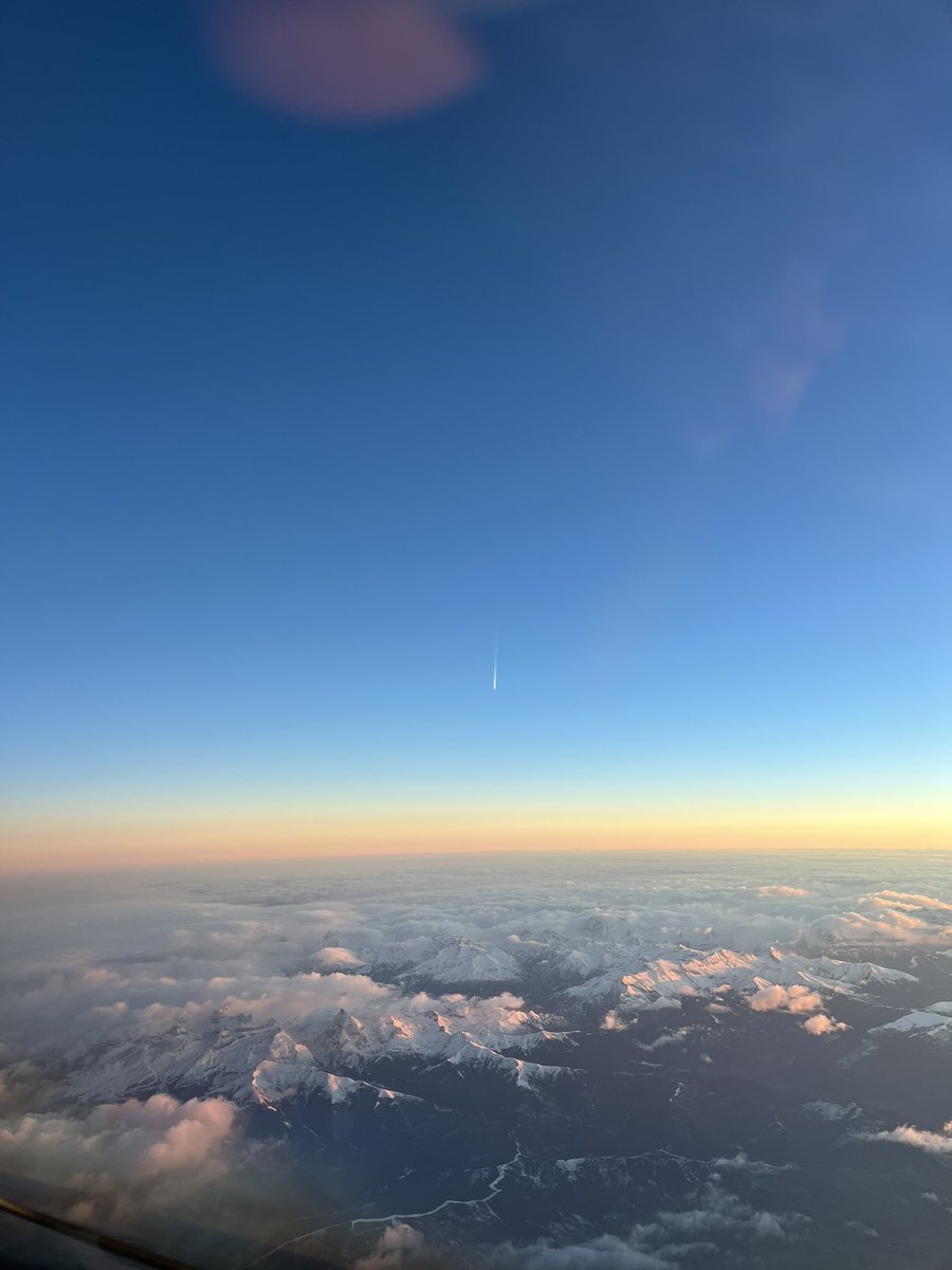 Gemma #IP tweet media