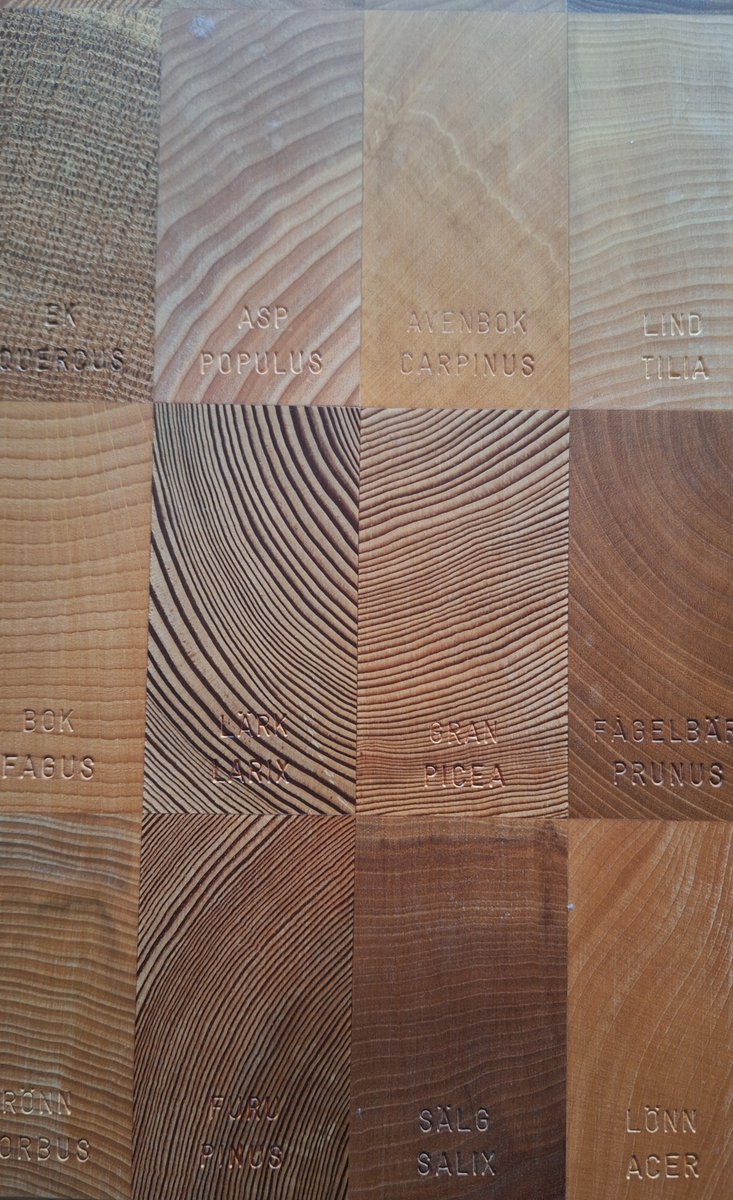 Paul Brain tweet media