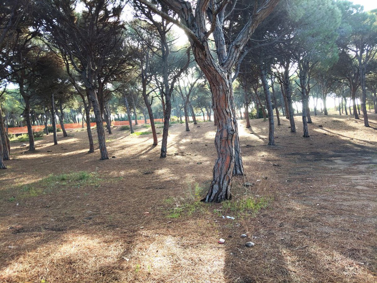 Aturem el Pla de Ponent tweet media