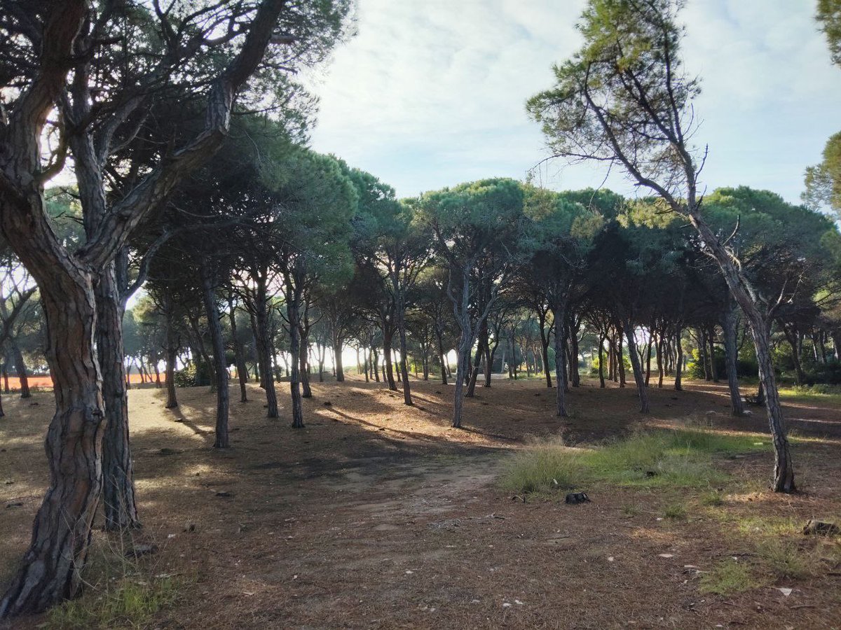 Aturem el Pla de Ponent tweet media