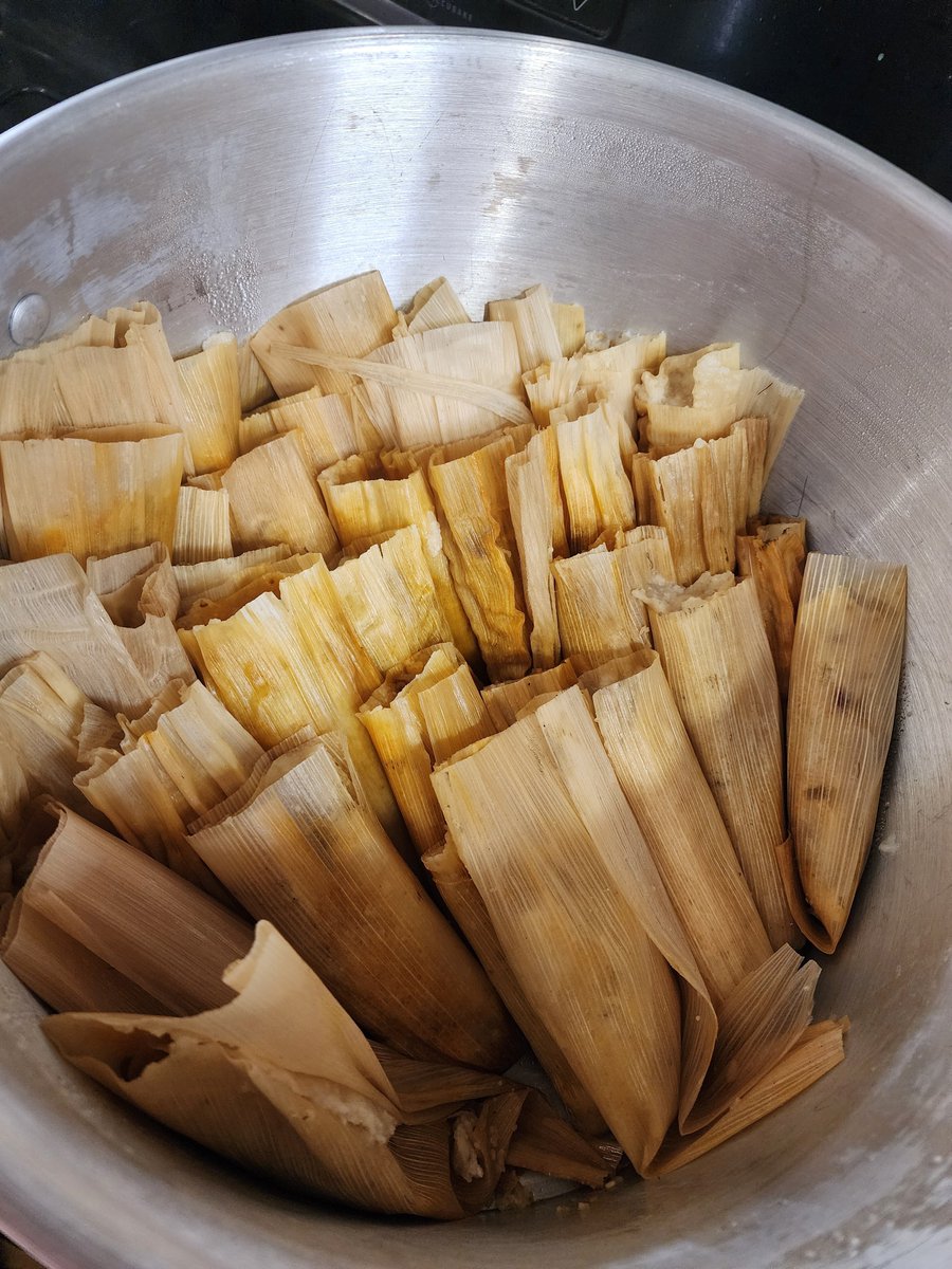 Muddy 🎋🍭 tweet media