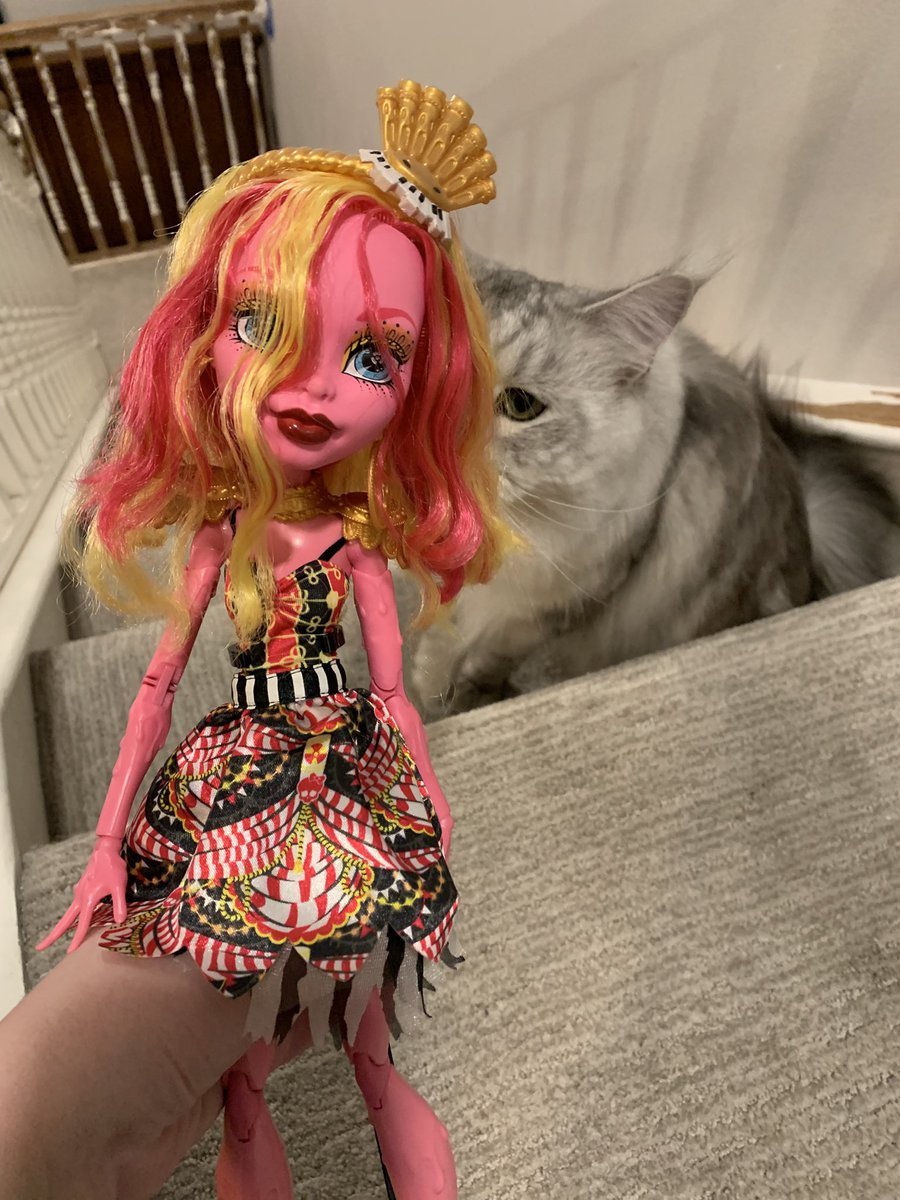 SpaceGoatVii's tweet photo. @XCanadensis I mailed you a polaroid of Arthas with dolls last year 😇 but here is a fresh one https://t.co/IJrV3iGAZn