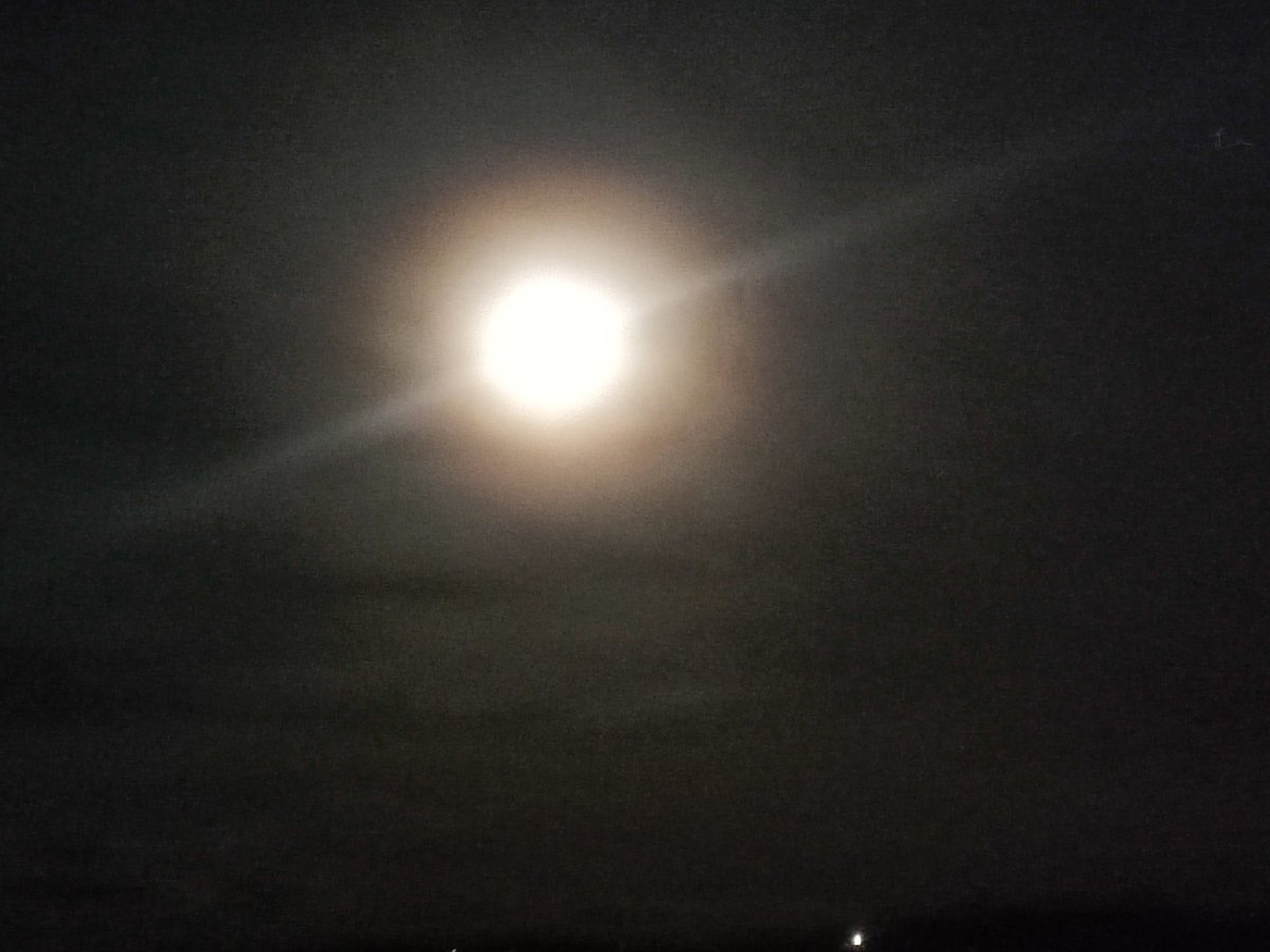 ClarissaWrights's tweet photo. The #fullmoom is so bold tonight. This photo doesn't do it justice though. https://t.co/7bGYo0tZTP