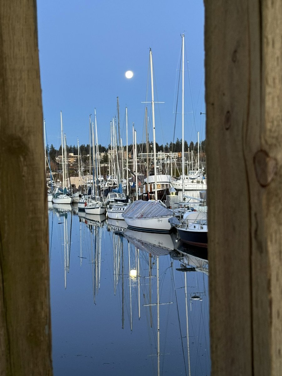 TownofComox's tweet photo. What a magical way to start the mid-December day in #Comox! This morning, as the moon sets on the one side, the sun greeted us with a bright hello on the other.
It's the perfect time to take in the tranquil moments of our region.
#comoxmarina I #comoxparks I #middecember I https://t.co/qR42N12r92