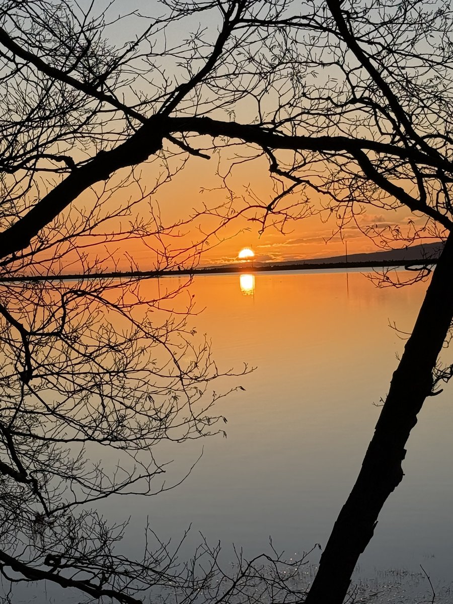 TownofComox's tweet photo. What a magical way to start the mid-December day in #Comox! This morning, as the moon sets on the one side, the sun greeted us with a bright hello on the other.
It's the perfect time to take in the tranquil moments of our region.
#comoxmarina I #comoxparks I #middecember I https://t.co/qR42N12r92