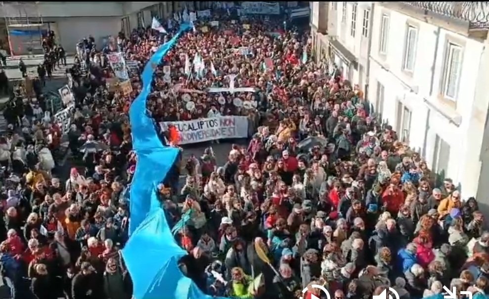 Inocentidad's tweet photo. @lavozdegalicia Por favor!! 
¡Una macroplanta de celulosa! ¡Periodismo de fibras textiles! https://t.co/4rmExyOfZJ