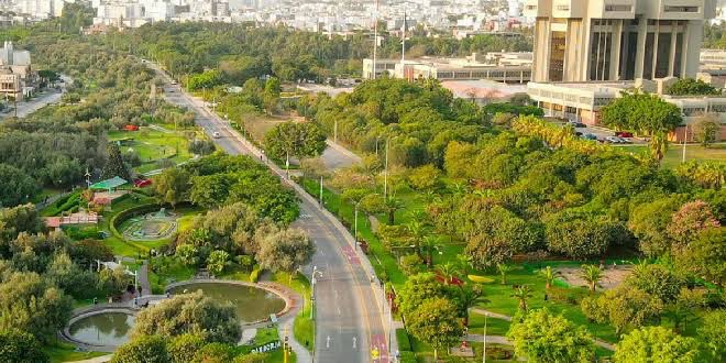 danielsolru's tweet photo. @sarixdee En Lima hay muchas zonas con grandes superficies de arboles como San Borja, Miraflores, etc. No cuesta nada investigar eh https://t.co/derrTQYrKx