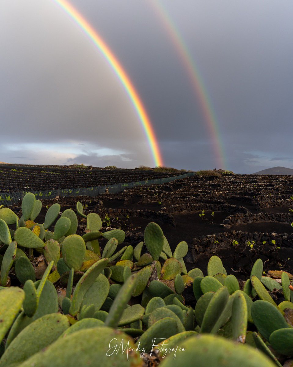 Después de la tormenta, llega… 🌈 

🌧️Bendita lluvia para nuestro campo. 

📸 Gracias Juan <a href="/JMendezFotogra1/">J. Mendez. Fotografía</a> por capturar cómo se ve #Lanzarote cuando vuelve a brillar✨

#lluvia
#arcoiris