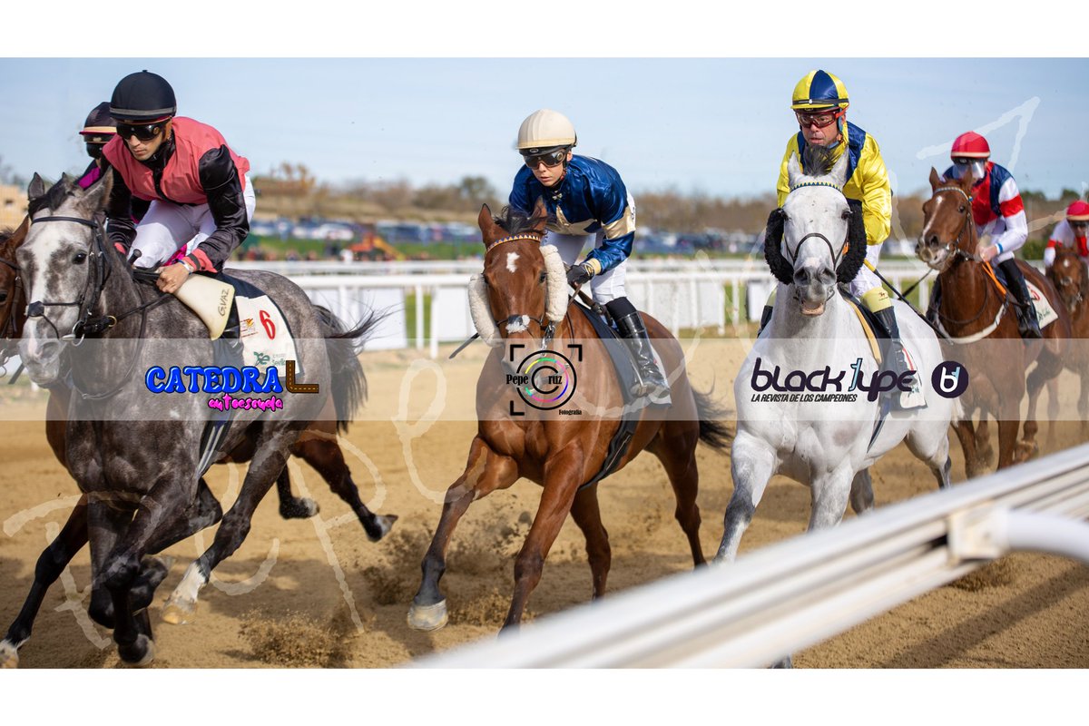 PepeCruz_Martin's tweet photo. 𝘜𝘯 𝘥í𝘢 𝘮á𝘴.
#fotografiadeportiva #horseracing #sportphotography #turf #carrerasdecaballos #mundodelcaballo #sevilla #sevillahoy #montequinto #doshermanas https://t.co/OCkYbormvA