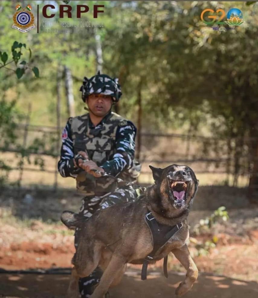 Devilkhan433744's tweet photo. CRPF: The backbone of our nation’s security. Strong, fearless, and always ready to protect. Salute to their dedication! 🇮🇳 #CRPF Rest in Peace
#zakirhussain #MCIMUN उस्ताद ज़ाकिर हुसैन Aliens Om Shanti #NationStrong Snapchat RIP Legend https://t.co/WyexmqfGup
