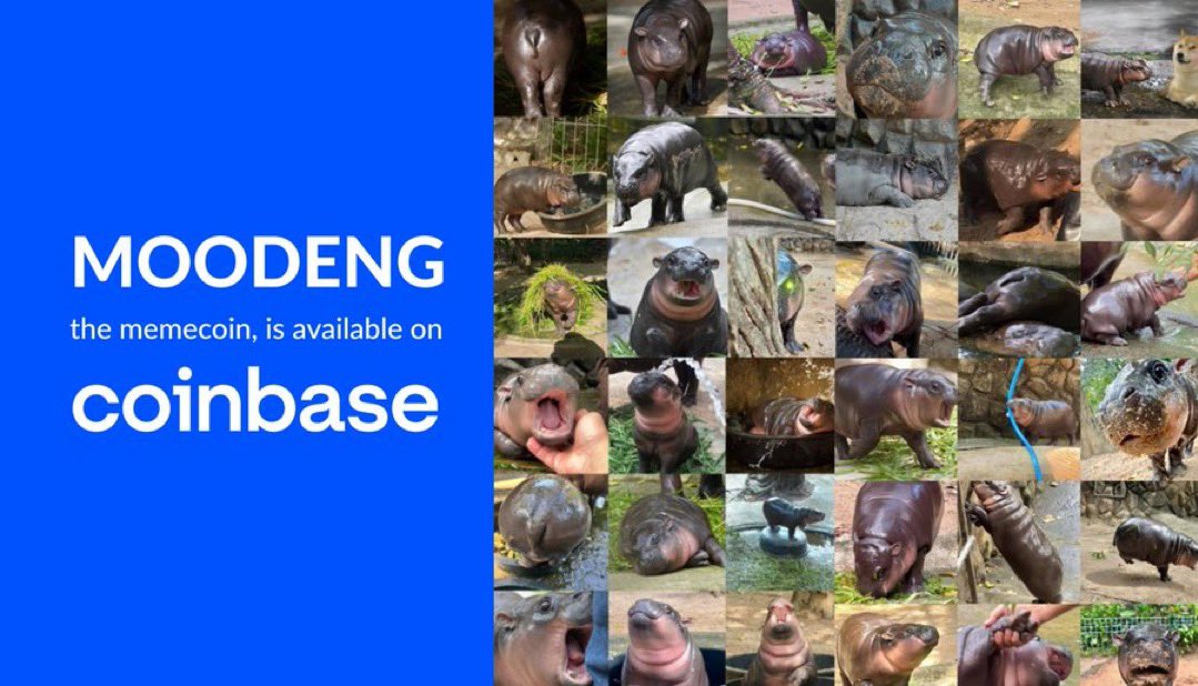 We’re happy you think Moo Deng is the #1 meme of 2024, <a href="/mashable/">Mashable</a> 

We think so too 🥳🦛💕