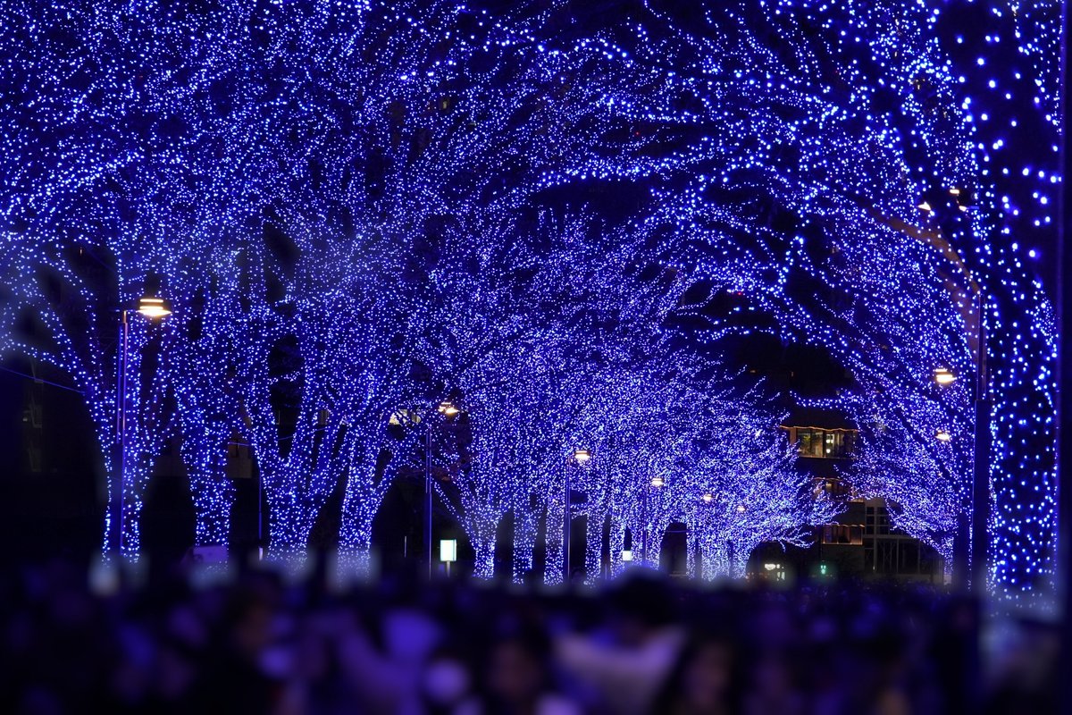 ParadiseProject's tweet image. 2024.12.14
青の洞窟

幻想的なブルーの世界

12月25日までやってるみたいなので興味のある方はぜひ行ってみてください！

#写真好きな人と繋がりたい
#写真撮っている人と繋がりたい
#カメラ好きな人と繋がりたい
#青の洞窟SHIBUYA