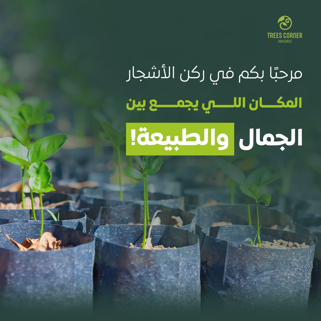 Trees Corner - ركن الأشجار (@cornertrees) / Posts / X