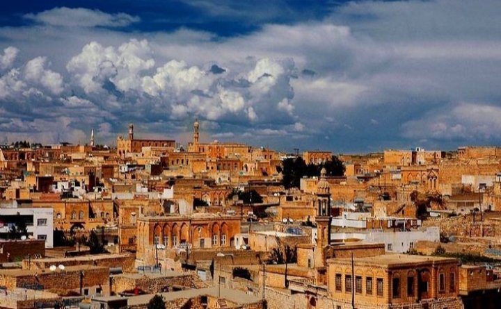 Seher ( Aşiretin Leydisi ) tweet media