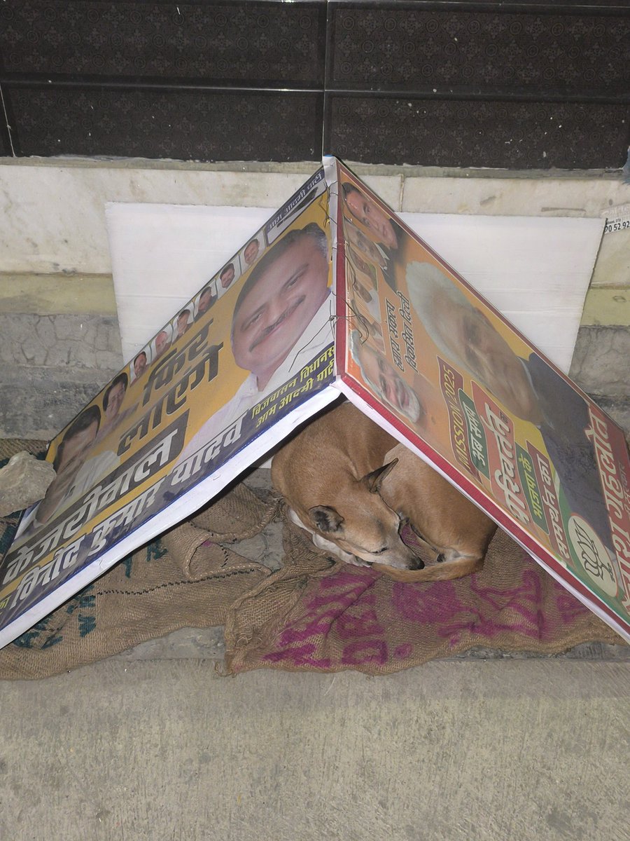Gosu025's tweet photo. Single party's banner wasn't able to make the shelter, we needed two.
At the end dog didn't care who's logo was on it, as long as it was keeping him safe.
Best thing I saw in so long.
@BJP4Delhi @AamAadmiParty 
Heartiest thanks to both the parties for their collaborative efforts. https://t.co/GY8XQLzvGj