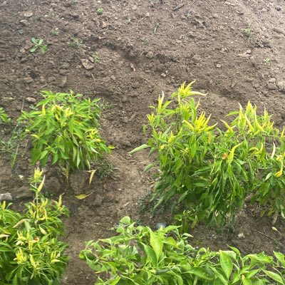 #YeniProfilResmi