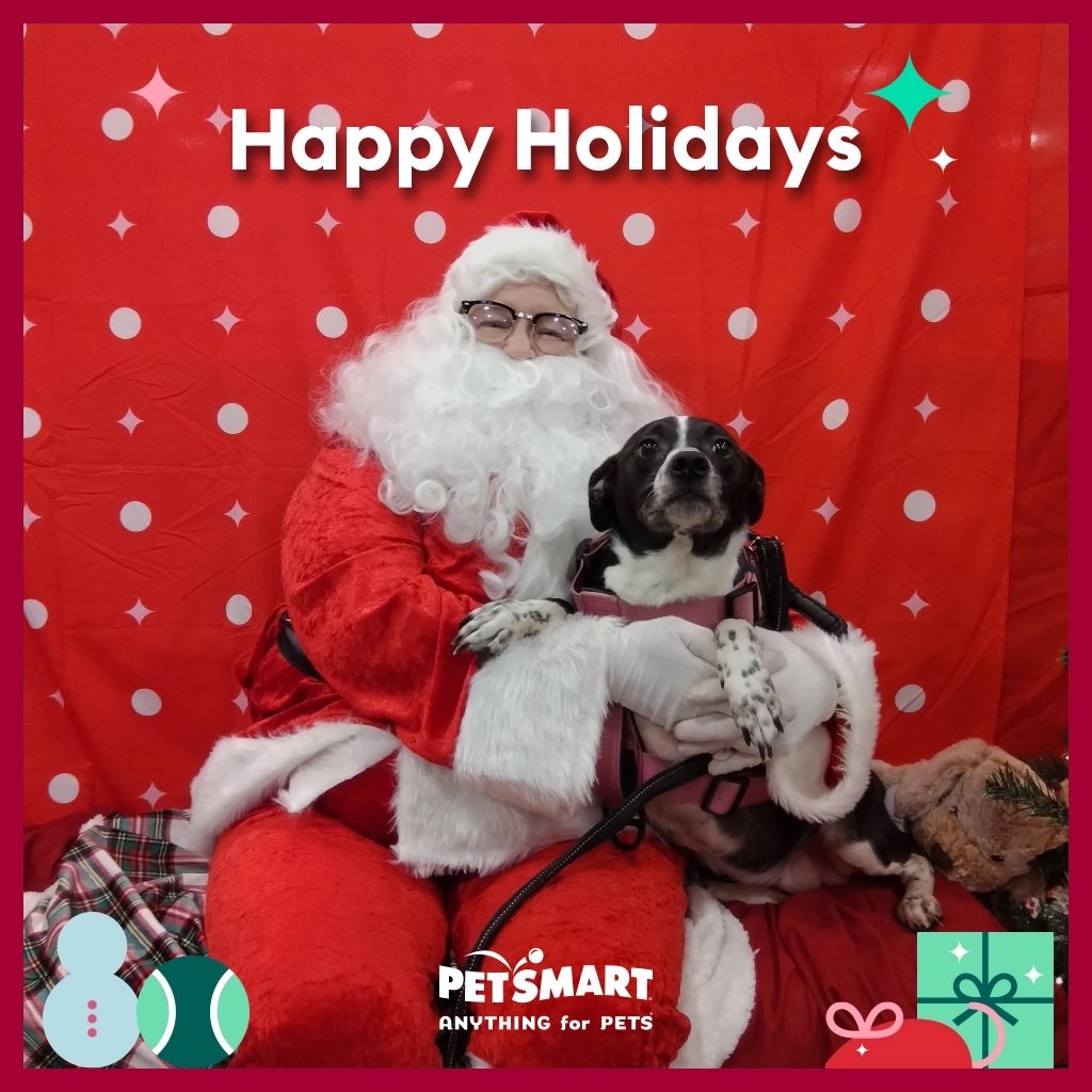 Took my dog to see Santa Paws yesterday at PetSmart needless to say she wasn’t a fan just look at that face ….