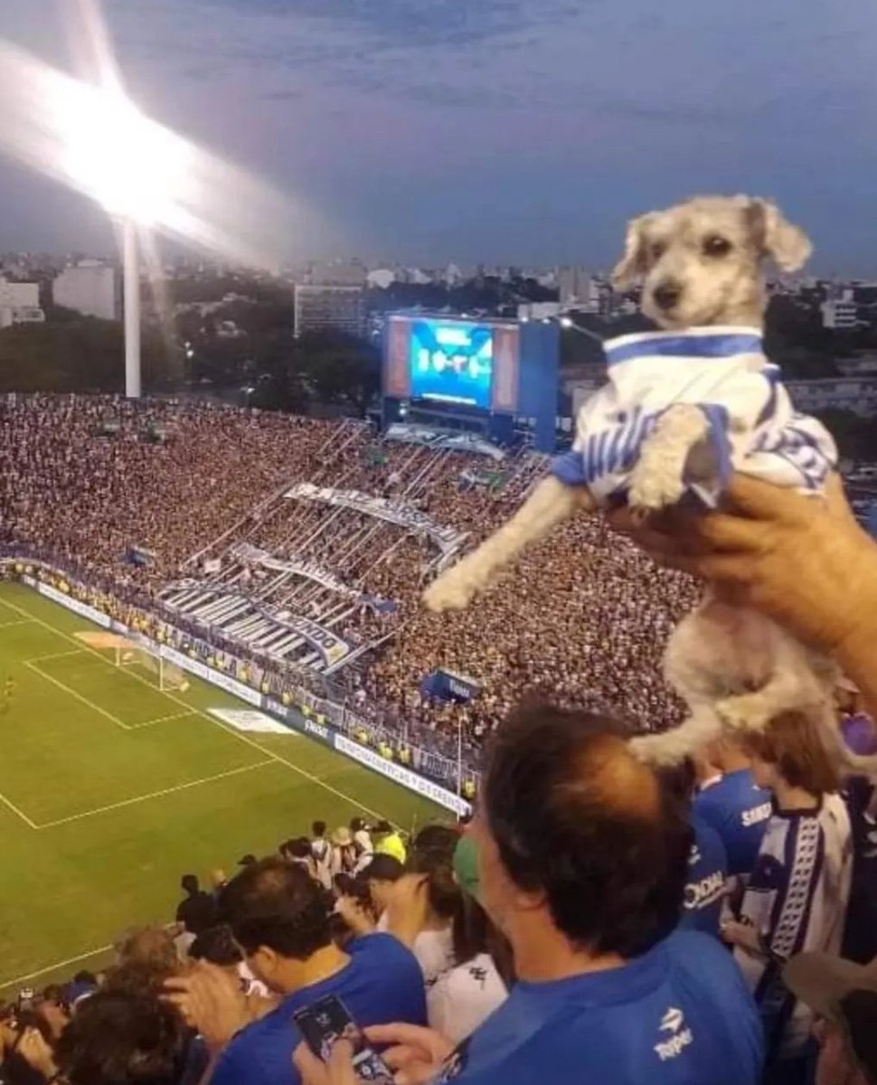 el cavs es una cosa de locos
