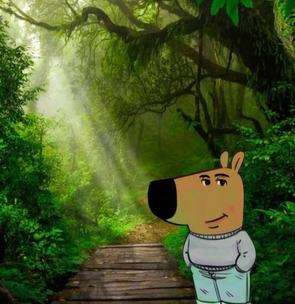 Justdo it 🌴 tweet media