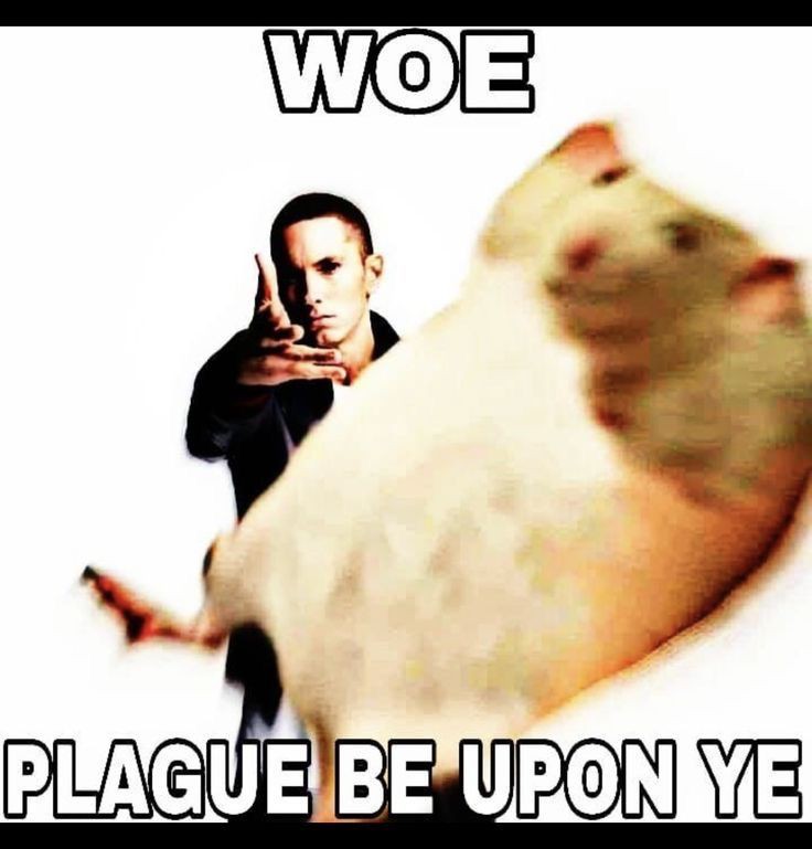 𝘚𝘱𝘪𝘥𝘦𝘺 !!! 🕸️🕷️🏳️‍🌈 (@spideymenacee) on Twitter photo 