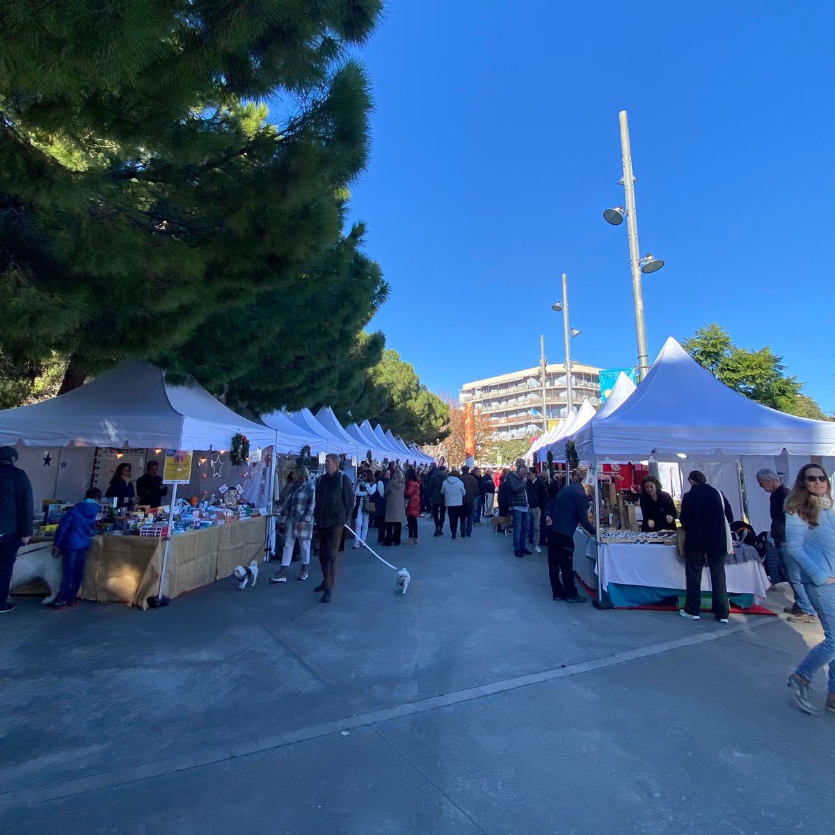 Aquest matí hem passejat pel Mercat de Nadal 🎄 de #SantJust i aprofitat per fer alguna que altre compra 😜🛍️

<a href="/lflotats/">Laia Flotats</a> 
<a href="/fcorbella/">Francesc Corbella</a> 

#100x100santjust 
#endavantsantjust