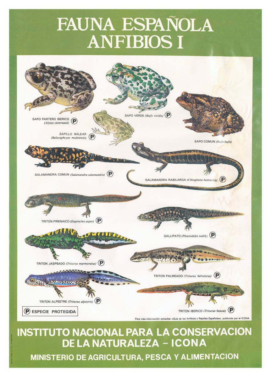 Parques Nacionales (OAPN) tweet media