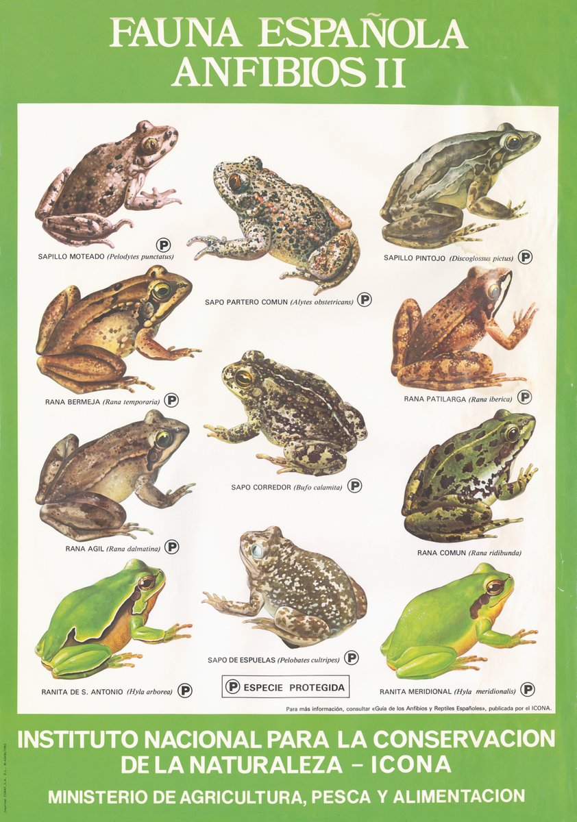 Parques Nacionales (OAPN) tweet media