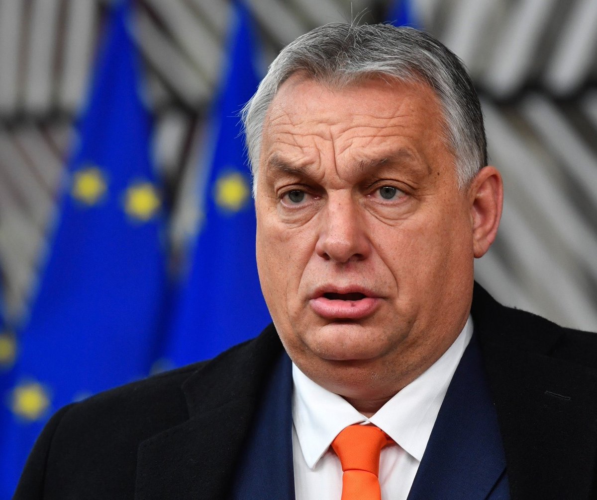 🔥🇭🇺 la Hongrie de Viktor Orban :
- Les mères ayant 4 enfants sont exonérées d'impôt sur le revenu À VIE.
- Le gouvernement protège les enfants de l’idéologie Woke.
- Il n'y a AUCUN migrant illégal dans le pays.

Vous en pensez quoi?