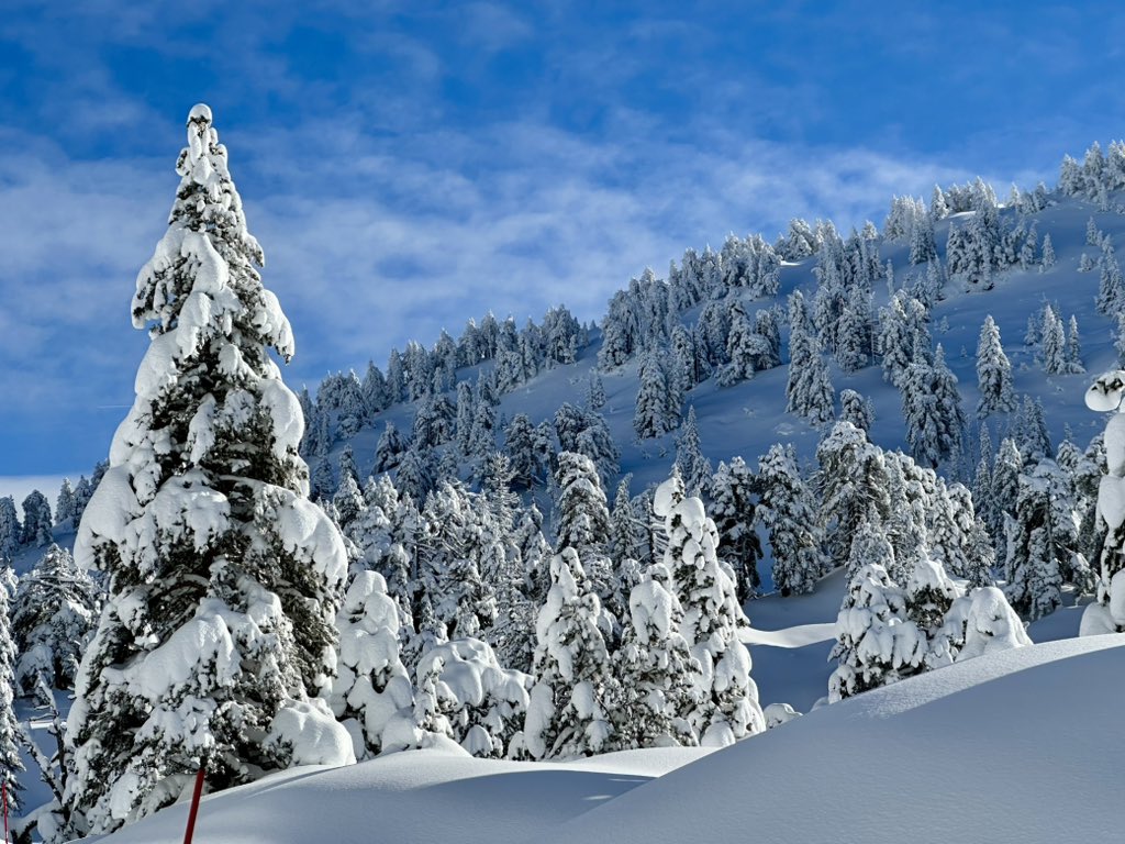 Navarrameteo's tweet photo. Valle de la Contienda en #LarraBelagua . El paraiso 😍❄️ https://t.co/jVgs8R9XNE