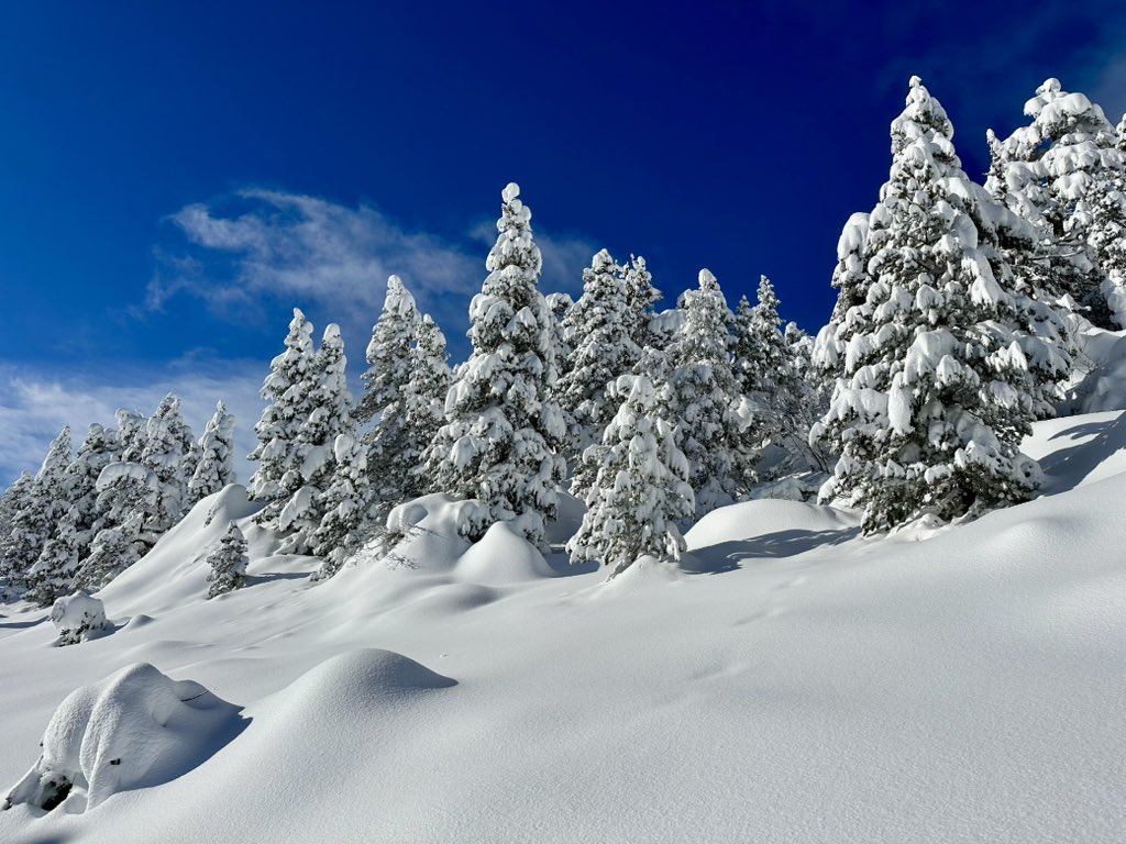 Navarrameteo's tweet photo. Valle de la Contienda en #LarraBelagua . El paraiso 😍❄️ https://t.co/jVgs8R9XNE