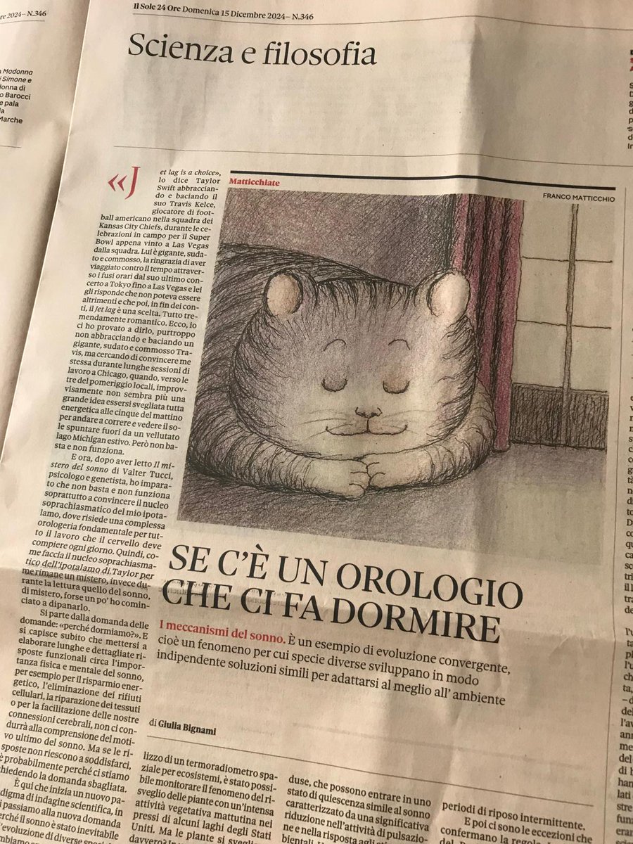 Jbigname1's tweet photo. Non ho la fortuna di avere il nucleo soprachiasmatico di Taylor Swift o di poter abbracciare e baciare un gigante, sudato e commosso Travis Kelce, ma comunque la mia recensione al libro di Valter Tucci "Il mistero del sonno" @LibriLonganesi è uscita oggi sulla Domenica @sole24ore https://t.co/JrW4VO7Ajt