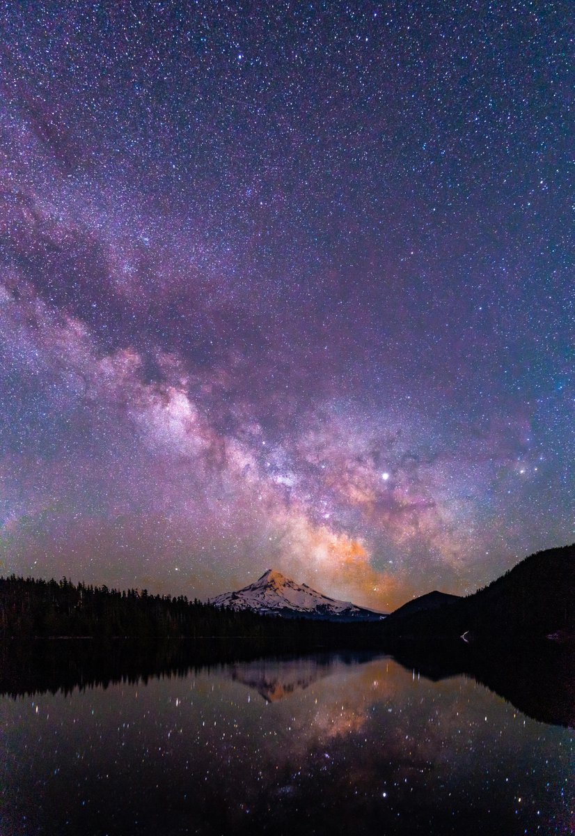 earthcurated's tweet photo. — twinkle twinkle little star ✨ https://t.co/rz8Dfl9DW0