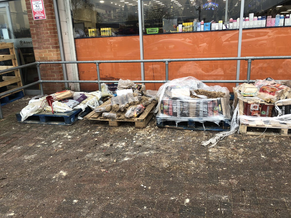 Hanna Fox tweet media