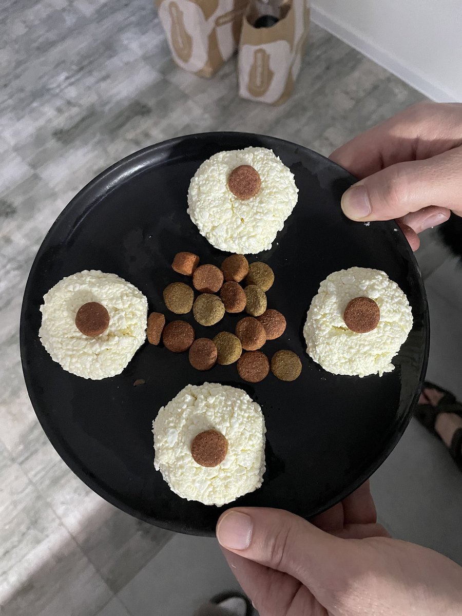 Сырнички с собачьим кормом готовы🤌🏻