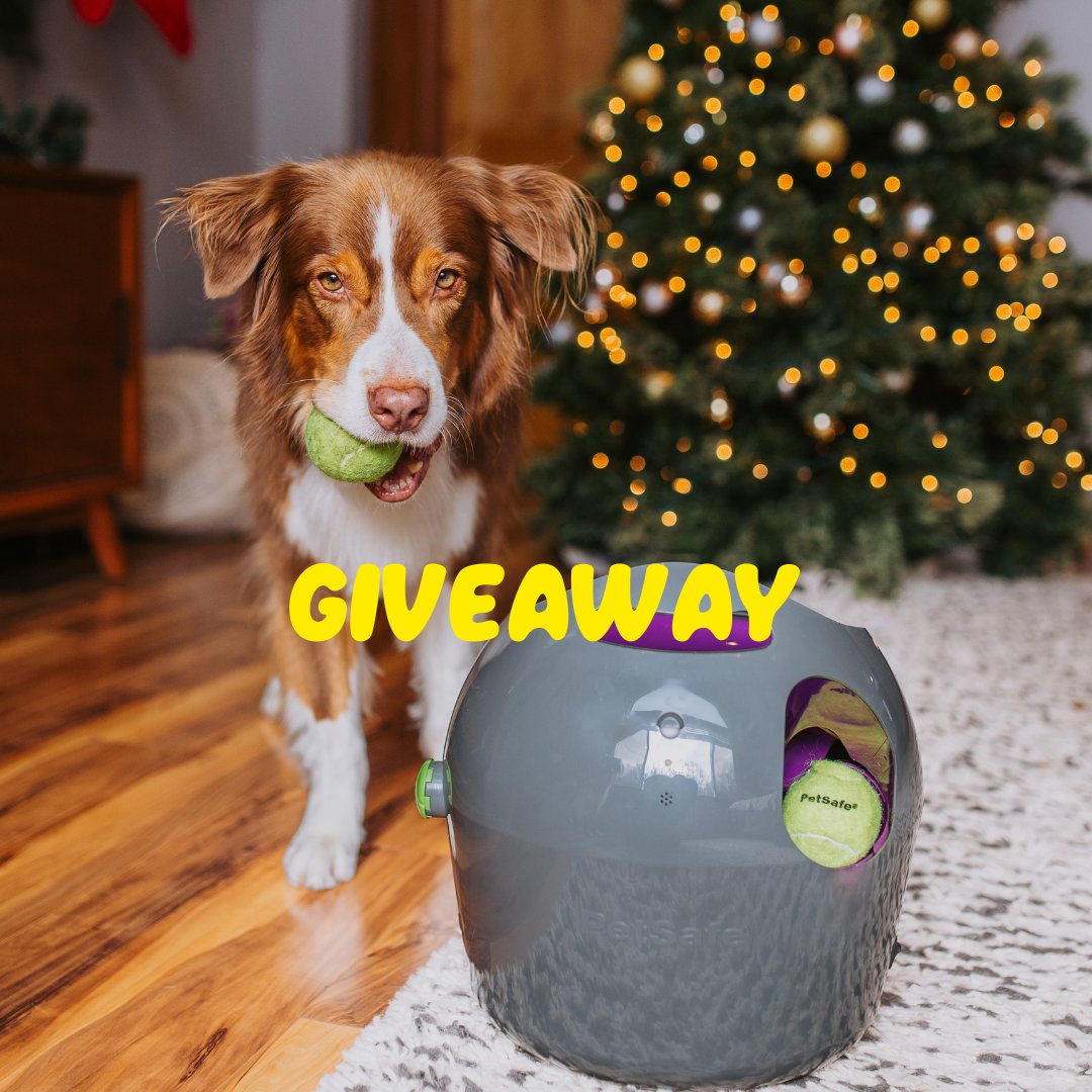 We are giving you the chance to win an Automatic ball launcher for you pup!

Like, comment and Retweet for your chance to win!🐾