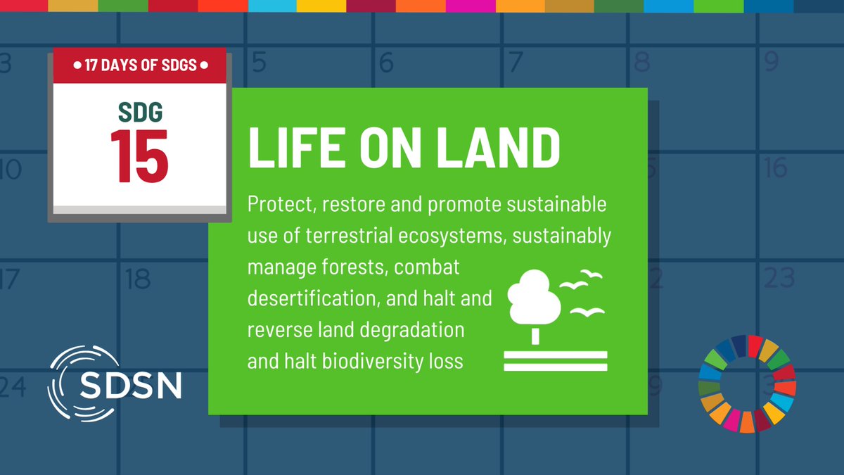 UNSDSN's tweet photo. ⭐ Happy #17DaysofSDGs! Today, we're highlighting #SDG15: Life on Land.
🌱 #Forests and #biodiversity are crucial to life on Earth. Explore SDSN's Science Panels' efforts to preserve forest biomes across the world: https://t.co/39y4ue7ANQ https://t.co/3z6vYYg1zw