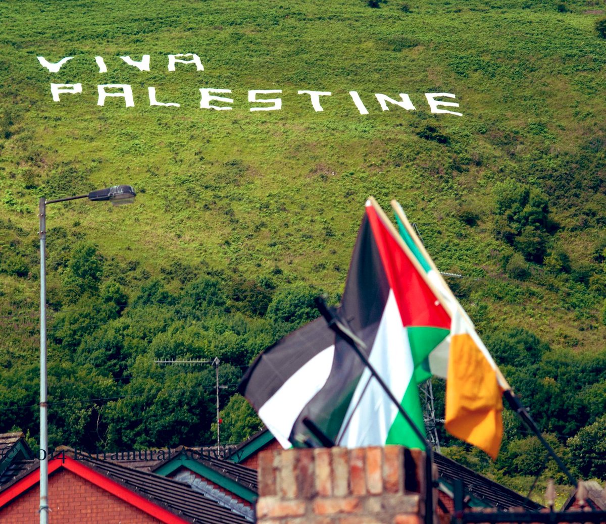 thatdayin1992's tweet photo. The Zionist regime's embassy in Ireland has been shut down. 

Long live Ireland  🇮🇪🇵🇸 https://t.co/Nt0YUrf8qV