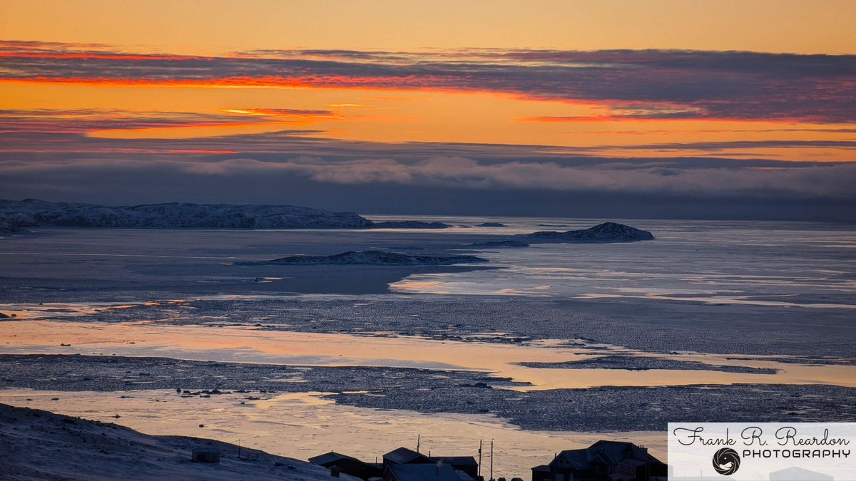 𝔣𝓇𝓪𝐧ｋ ᖇ乇𝓐г𝕕𝐎𝐍 Ƥʰᵒᵗ𝕆𝐬 tweet media