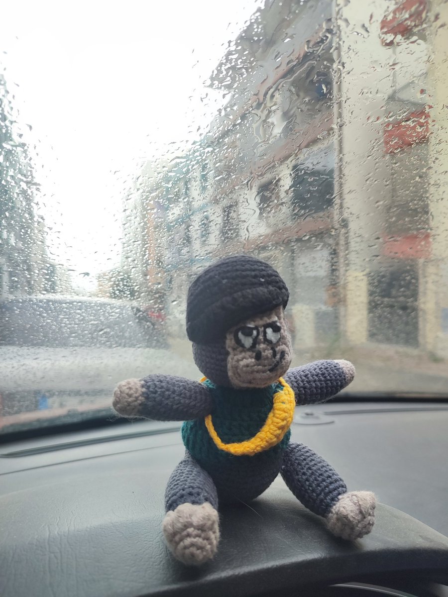 tazzymove's tweet photo. Gorillas dont like the rainy weather 😅 but we have to go GoGo 😊
Gmove ⚡
Wassa wassa 🦍
#GoGoAdventures
@GorillaMoverz
@movementlabsxyz https://t.co/bwT1IHwCc7